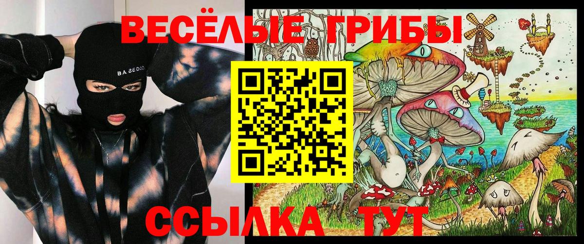 Мценск  Галлюциногенные грибы Psilocybe  Вход с VPN 
